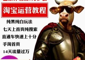 猫老师·淘系算法逆向解密,纯黑纯白玩法,七天上首页纯搜索,手淘首页14天流量过万-甬战资源库