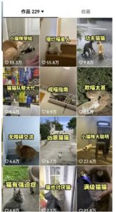 拆解抖音盘点类中视频变现副业项目，视频版一条龙大解析分享给你【视频课程】-甬战资源库