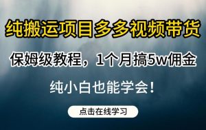 纯搬运项目多多视频带货保姆级教程，1个月搞5w佣金，纯小白也能学会【揭秘】-甬战资源库