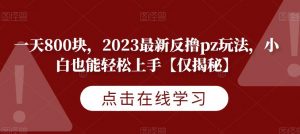 一天800块,2023最新反撸pz玩法,小白也能轻松上手【仅揭秘】-甬战资源库