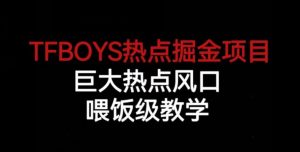 TFBOYS热点掘金项目，巨大热点风口，喂饭级教学-甬战资源库