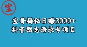 宝哥揭秘日赚3000+抖音励志语录号短视频变现项目-甬战资源库