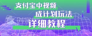 避坑玩法：支付宝中视频分成计划玩法实操详解【揭秘】-甬战资源库