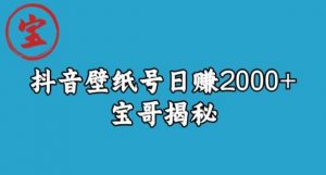 宝哥抖音壁纸号日赚2000+，不需要真人露脸就能操作【揭秘】-甬战资源库