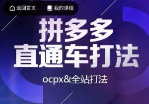 互力·拼多多直通车打法，ocpx&全站打法-甬战资源库