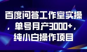 百度问答工作室实操，单号月产3000+，纯小白操作项目【揭秘】-甬战资源库