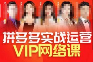 推易拼多多VIP全套直播课程,拼多多店铺实操玩法+实战玩法选款内功+直通车高阶等-甬战资源库
