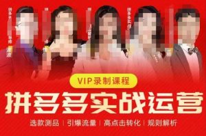 2023推易拼多多实战运营,选款测品、引爆流量、高点击转化、规则解析-甬战资源库