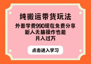 纯搬运带货玩法，外面学费990现在免费分享，新人无脑操作也能月入过万【揭秘】-甬战资源库