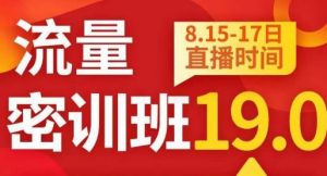秋秋线上流量密训班19.0,打通流量关卡,线上也能实战流量破局-甬战资源库
