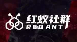 社群运营：红蚁社群【48节落地系统课程+2000人高端社群】-甬战资源库