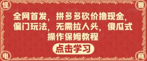 全网首发,拼多多砍价撸现金,偏门玩法,无需拉人头,傻瓜式操作保姆教程【揭秘】-甬战资源库
