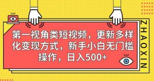 第一视角类短视频，更新多样化变现方式，新手小白无门槛操作，日入500+【揭秘】-甬战资源库