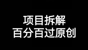 项目拆解赛道百分百过原创【揭秘】-甬战资源库