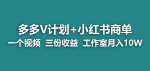 【蓝海项目】多多v计划+小红书商单一个视频三份收益工作室月入10w-甬战资源库