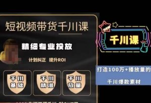 短视频带货-千川专业投放课，​精细化专业投放，计划纠正，提升ROI-甬战资源库