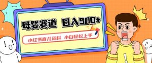 小红书育儿资料，一部手机可操作，多种变现方式，日入500+，私域变现，长期可持续项目【揭秘】-甬战资源库