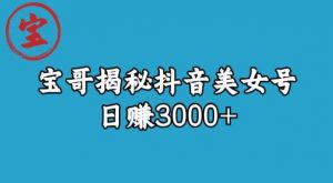 宝哥揭秘抖音美女号玩法，日赚3000+【揭秘】-甬战资源库