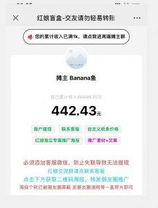 盲盒交友5.0，男粉变现实操项目，亲测变现效果极好【揭秘】-甬战资源库