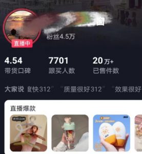 全新的蓝海赛道，抖音一元直播，不用囤货，不用出镜，照读话术也能20w+月销量【揭秘】-甬战资源库