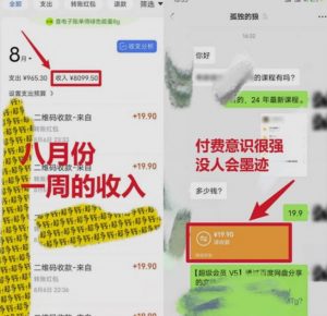 靠英语四级，一天1000+不懂英语也能做，小白保姆式教学(附:1800G资料）【揭秘】-甬战资源库