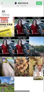 外面收费198的最新视频号连怼技术，条条原创，条条爆单【揭秘】-甬战资源库