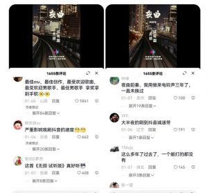 副业拆解：抖音杰伦音乐号涨粉变现项目，视频版一条龙实操玩法分享给你-甬战资源库
