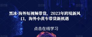 黑冰·海外短视频带货，2023年跨境新风口，海外小黄车带货新机遇-甬战资源库