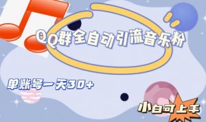 QQ群全自动引流音乐粉，单账号一天轻松引流30+-甬战资源库