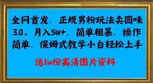 全网首发正规男粉玩法卖圆味3.0,月入5W+,简单粗暴,操作简单,保姆式教学,小白轻松上手-甬战资源库