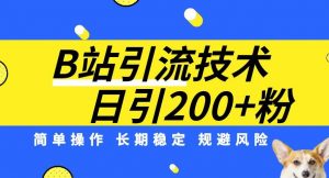 B站引流技术:每天引流200精准粉,简单操作,长期稳定,规避风险-甬战资源库