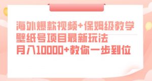 海外爆款视频+保姆级教学,壁纸号项目最新玩法,月入10000+教你一步到位【揭秘】-甬战资源库