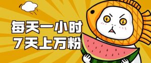 暴力涨粉项目：每天一小时，七天上万粉【揭秘】-甬战资源库