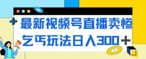最新视频号直播卖惨乞讨玩法，流量嘎嘎滴，轻松日入300+-甬战资源库