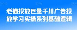 老猫投放巨量千川广告投放学习实操系列基础逻辑-甬战资源库
