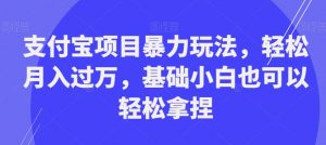 支付宝项目暴力玩法,轻松月入过万,基础小白也可以轻松拿捏【揭秘】-甬战资源库