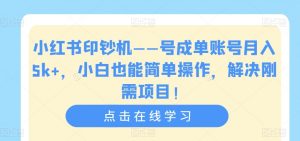 小红书印钞机——号成单账号月入5k+，小白也能简单操作，解决刚需项目【揭秘】-甬战资源库