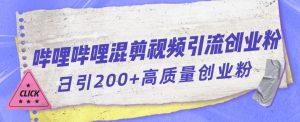 哔哩哔哩B站混剪视频引流创业粉日引300+-甬战资源库