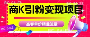 商K引粉变现项目,高客单价精准流量【揭秘】-甬战资源库