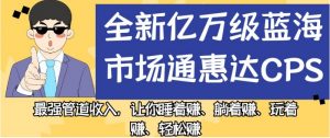 全新亿万级蓝海市场通惠达cps，最强管道收入，让你睡着赚、躺着赚、玩着赚、轻松赚【揭秘】-甬战资源库