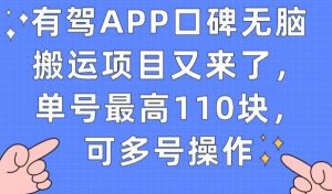 有驾APP口碑无脑搬运项目又来了，单号最高110块，可多号操作-甬战资源库