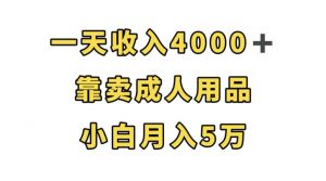一天收入4000+，靠卖成人用品，小白轻松月入5万【揭秘】-甬战资源库