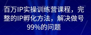 百万IP实操训练营课程,完整的IP孵化方法,解决做号99%的问题-甬战资源库