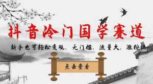 抖音冷门国学赛道，新手也可轻松变现，无门槛，流量大，涨粉快-甬战资源库