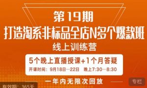 打造淘系非标全店N多个爆款线上课，​5天直播课-甬战资源库