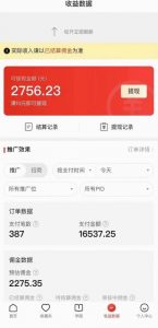 拼多多无人直播不封号玩法,0投入,3天必起,日入1000+-甬战资源库