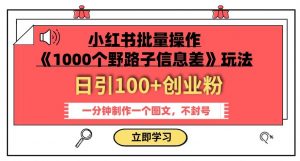 小红书批量操作《1000个野路子信息差》玩法,一分钟制作一个图文,不封号,日引100+创业粉-甬战资源库