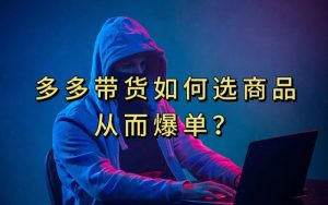 多多视频带货选什么商品链接才能爆单，10分钟教会你，爆单不是浮云【揭秘】-甬战资源库