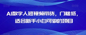 AI数字人短视频带货，门槛低，适合新手小白可做的项目-甬战资源库