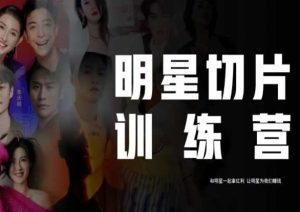 王子·明星切片线上训练营（2023），和明星一起拿红利，让明星为我们赚钱-甬战资源库